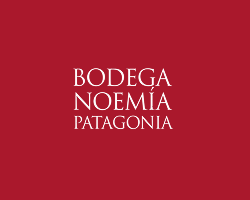 Logo patagonia 12