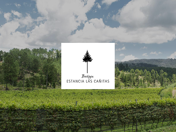 las cañitas portada