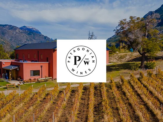 patagonian wines portada