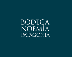 logo home (31)